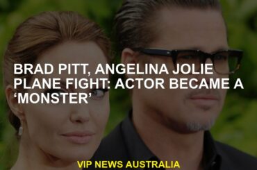 Brad Pitt, Angelina Jolie Plane Fight: the actor has become a "monster"