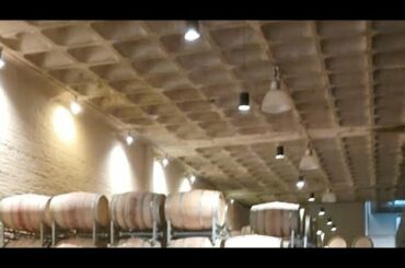 Cape Wines | Groot Constantia's Jean Naude