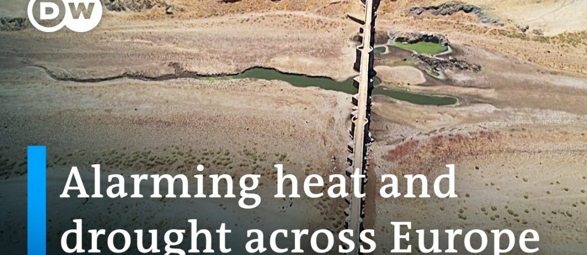 Record drought poses serious threat to Europe's environment and critical infrastructure | DW News Record drought poses serious threat to Europe's environment and critical infrastructure | DW News