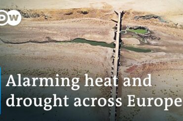 Record drought poses serious threat to Europe's environment and critical infrastructure | DW News
