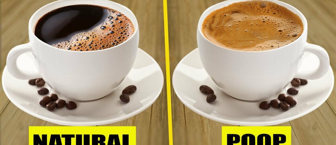 10 Fascinating Facts About Coffee You Should Know!! | 2022