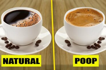 10 Fascinating Facts About Coffee You Should Know!! | 2022