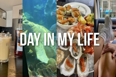 VLOG: boston aquarium date, the BEST caramel latte recipe, seeing Alesso + more !