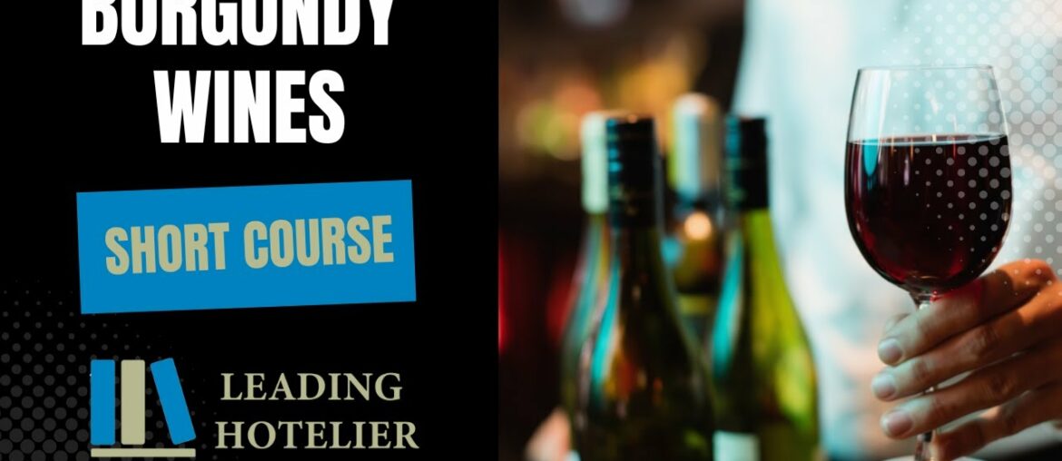 Burgundy Wines Short Course – Food and Beverage Service Training #20 Burgundy Wines Short Course - Food and Beverage Service Training #20