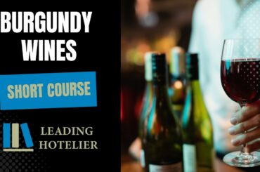 Burgundy Wines Short Course - Food and Beverage Service Training #20