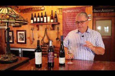 Wine Club Tasting Notes 9/22