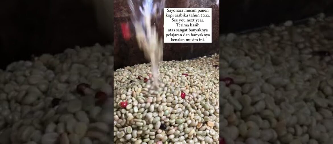 #ide #desain #ideas #konsep #design #coffee #manualbrew #latte #cafe #roaster #kopi #short #shorts #ide #desain #ideas #konsep #design #coffee #manualbrew #latte #cafe #roaster #kopi #short #shorts