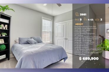 Luxury Palmetto Shores Estate