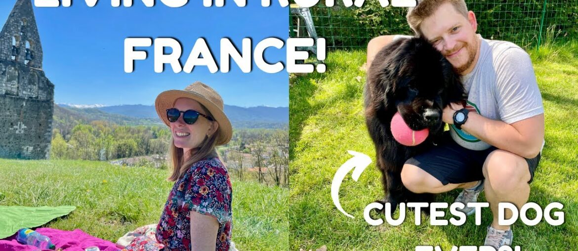 PETSITTING IN FRANCE! | Spending Easter in the French Countryside | France Vlog 2022 PETSITTING IN FRANCE! | Spending Easter in the French Countryside | France Vlog 2022
