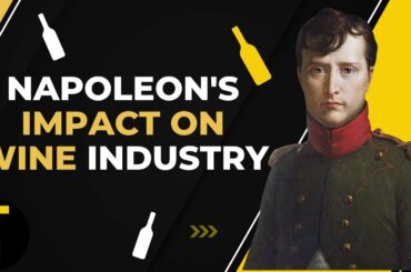 Napoleon's Impact on Wine Industry