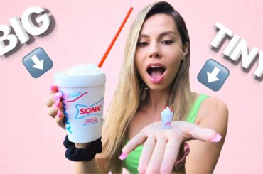 SUPER FUNNY 24 hour MINI FOOD CHALLENGE !! *SO CRAZY*