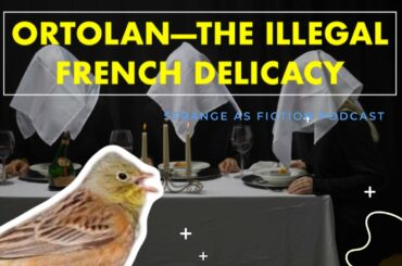 History of eating Ortolan--the Illegal and Highly Sought after French Delicacy