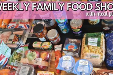 WEEKLY FAMILY FOOD HAUL | FAMILY GROCERY SHOPPING | WEEKLY FOOD SHOPPING | TESCO HAUL | MEAL PLAN |