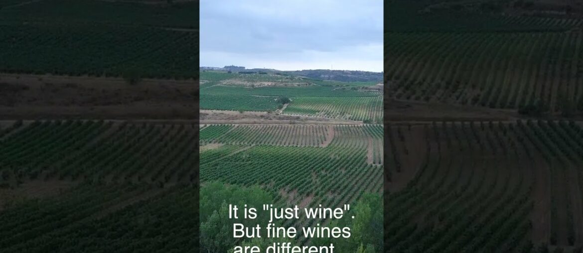 The little details of fine wine The little details of fine wine