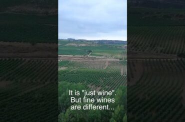 The little details of fine wine