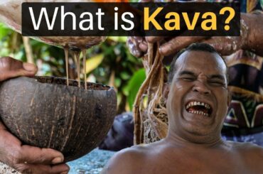 What is KAVA? (This Drink is INSANE)