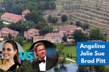 Angelina Jolie Sues Brad Pitt for $250 Million For French Winery