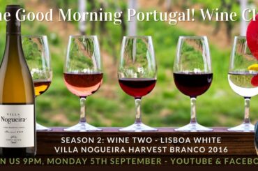 The GMP! Wine Club - Season 2, Tasting 2: Villa Nogueira Harvest Branco 2016 Lisboa White