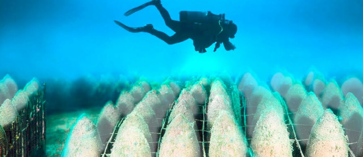 This Discovery Underwater Scares Scientists This Discovery Underwater Scares Scientists