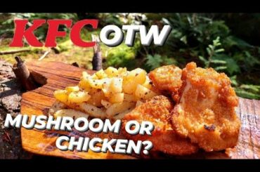 Bushcraft cooking with foraged mushrooms | KFC of the woods