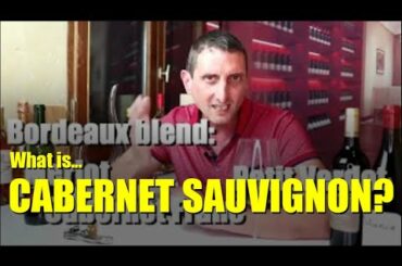 5 Must-Know Facts about Cabernet Sauvignon: Origin, Countries, Aromas, Wines