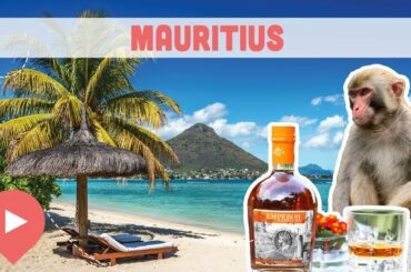 Best Things to Do in Mauritius
