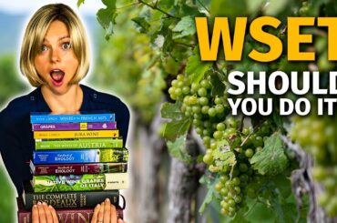 WSET Wine Education | + My Experience