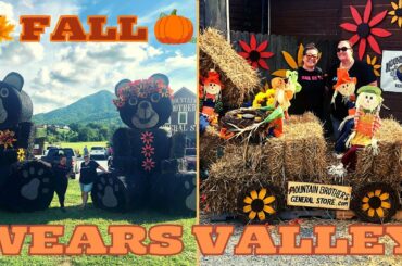 FALL IN WEARS VALLY, TN | MOUNTAIN BROTHERS GENERAL STORE & NATIONAL PARK MARKET CAFE FOOD REVIEW