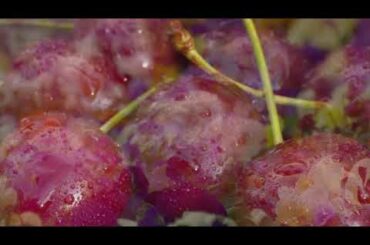 Method 2019 Cabernet Sauvignon, Napa Valley