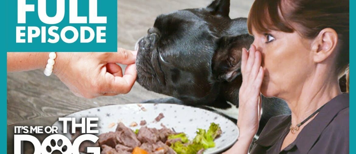 Pampered Frenchie is Hand-Fed Luxurious Food For Every Meal! | Full Episode | It's Me or the Dog