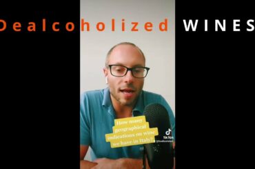 Italian wine sector, GIs and dealcoholized wines