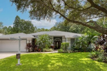 573 Centerwood Dr, Tarpon Springs, FL