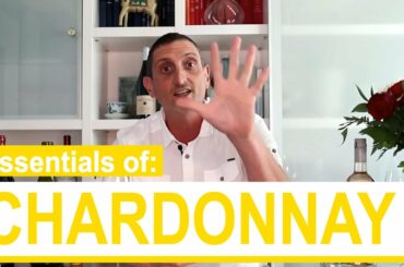 Learn About Chardonnay: Origin, Aromas, Best Chardonnay Wines...