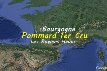 Pommard 1er Cru Les rugiens Hauts | French wine map | Wine study
