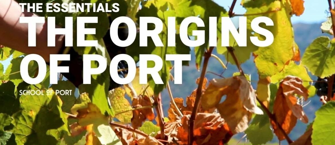 The Essentials - Ep 2 - The origins of port