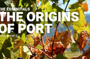 The Essentials - Ep 2 - The origins of port