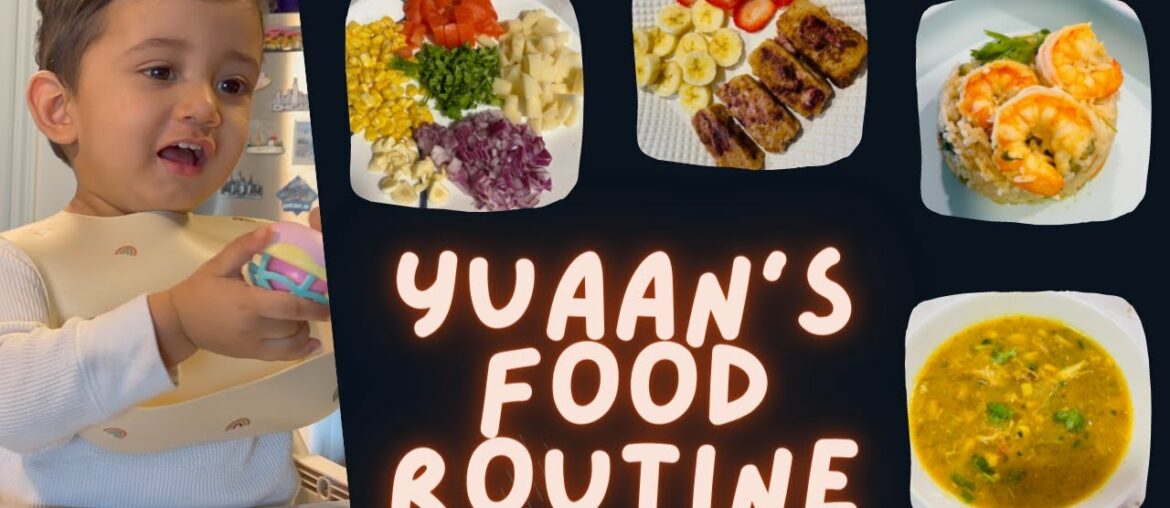 16 MONTH OLD'S FOOD ROUTINE | FRENCH TOAST | SHRIMP FRIED RICE | CHICKEN SOUP 16 MONTH OLD'S FOOD ROUTINE | FRENCH TOAST | SHRIMP FRIED RICE | CHICKEN SOUP