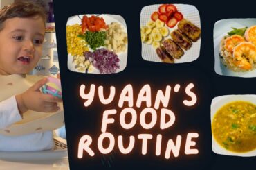 16 MONTH OLD'S FOOD ROUTINE | FRENCH TOAST | SHRIMP FRIED RICE | CHICKEN SOUP