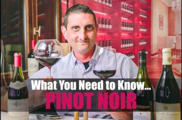 History of Pinot Noir: Origins, Taste & Best Pinot Noir Wines