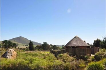 Marianne Wine Estate