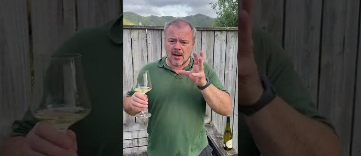 Wine Review: Muscadet Sevre et Maine Sur Lie Les Templiers 2018 Wine Review: Muscadet Sevre et Maine Sur Lie Les Templiers 2018