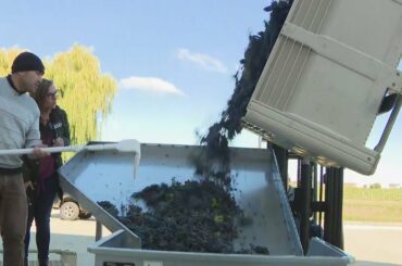 Around Town - Acquaviva Winery