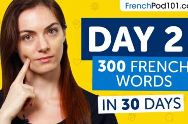 Day 2: 20/300 | Learn 300 French Words in 30 Days Challenge