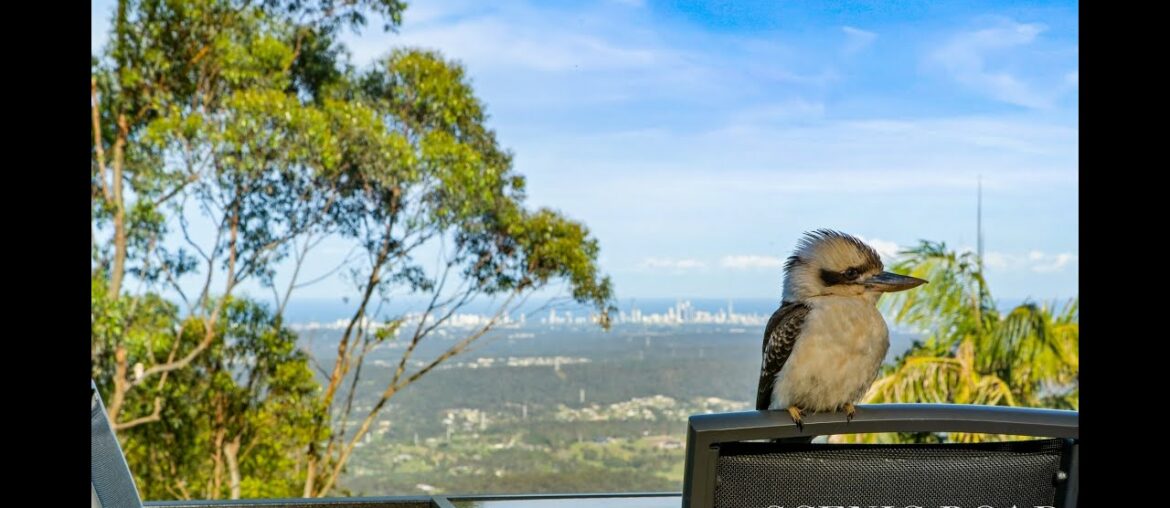 45 Central Avenue Tamborine Mountain 45 Central Avenue Tamborine Mountain