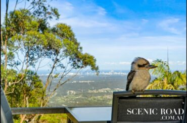 45 Central Avenue Tamborine Mountain