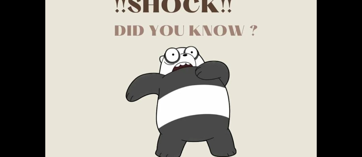 Interesting French Customs