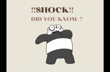 Interesting French Customs