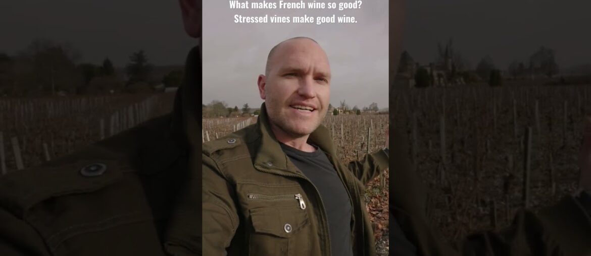 Why French wine is so good.  #wine #winelovers #frenchwine #winetasting #traveling #france