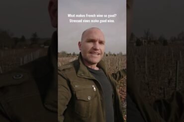 Why French wine is so good.  #wine #winelovers #frenchwine #winetasting #traveling #france