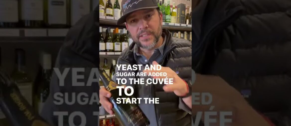 Learning French Champagne! In 37 seconds! #champagne #frenchwine #frenchchateau #sparklingwine